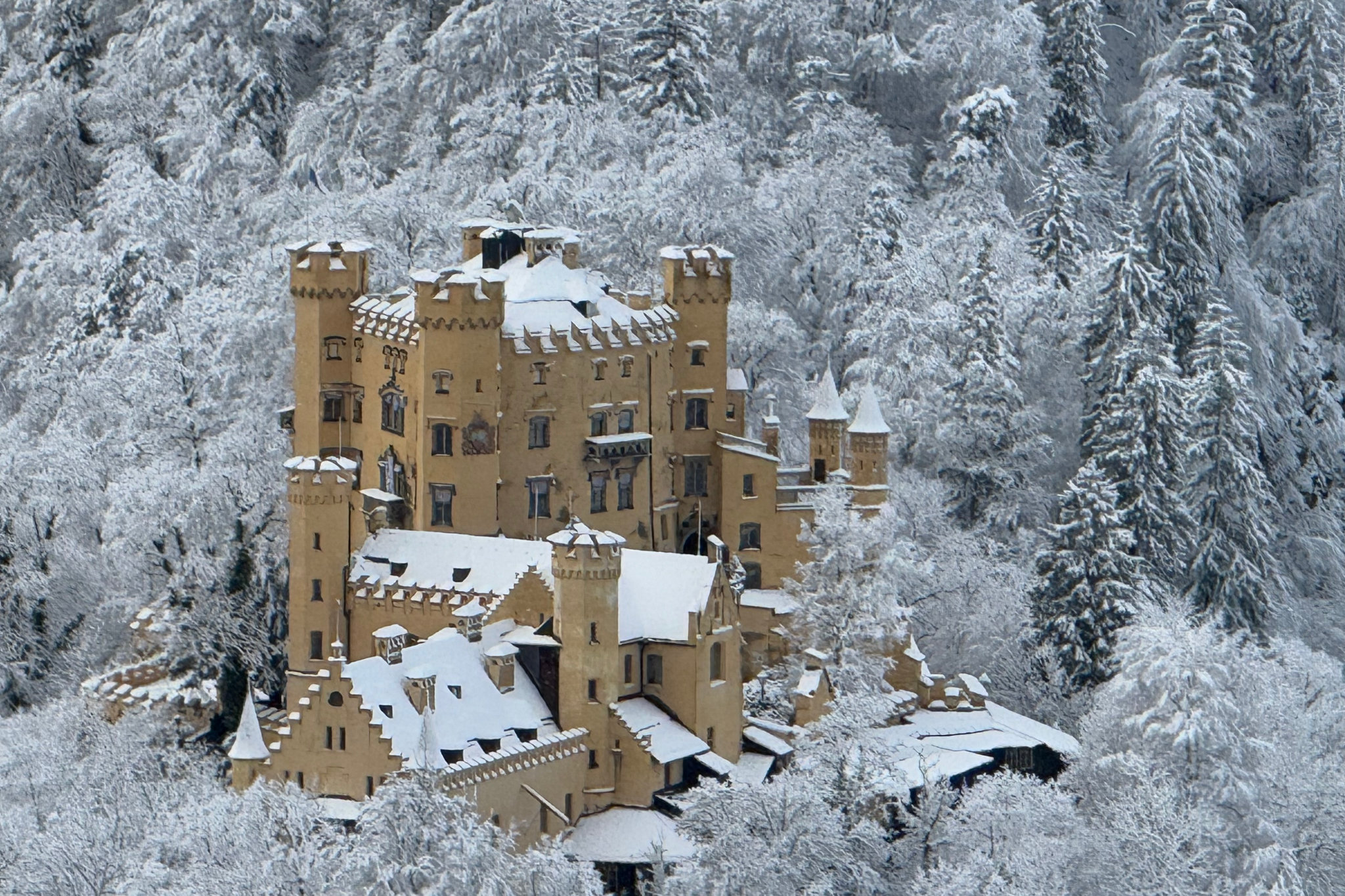 Castle in snow